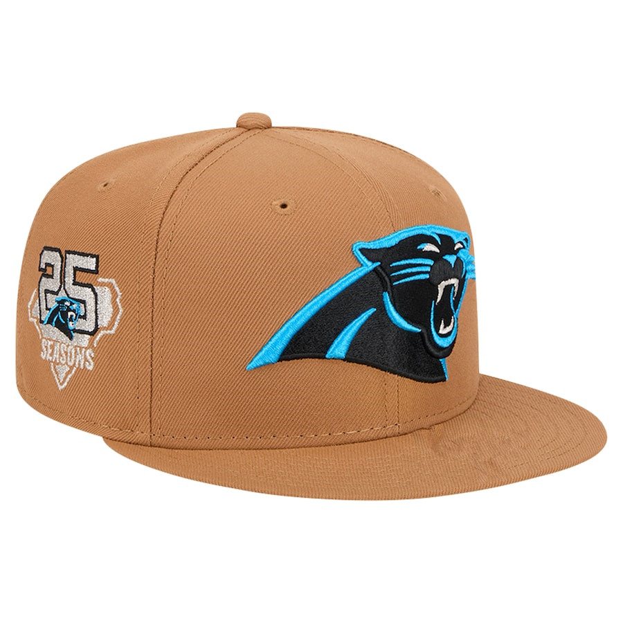 2024 NFL Carolina Panthers Hat TX20241008